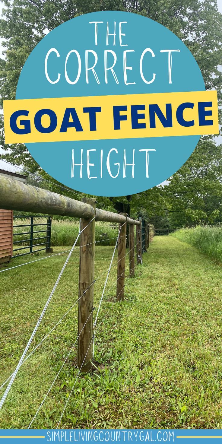 the correct goat fence height and how to use it in your backyard or yard with text overlay that reads, the correct goat fence height