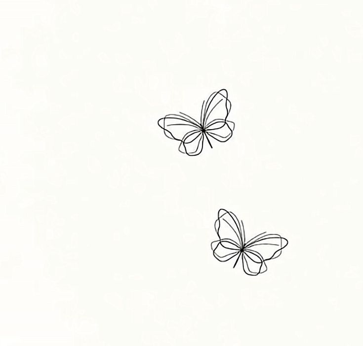 two butterflies flying side by side on a white background with black lines in the middle