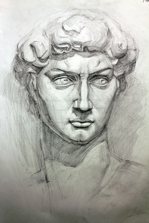 a pencil drawing of a bust of a man