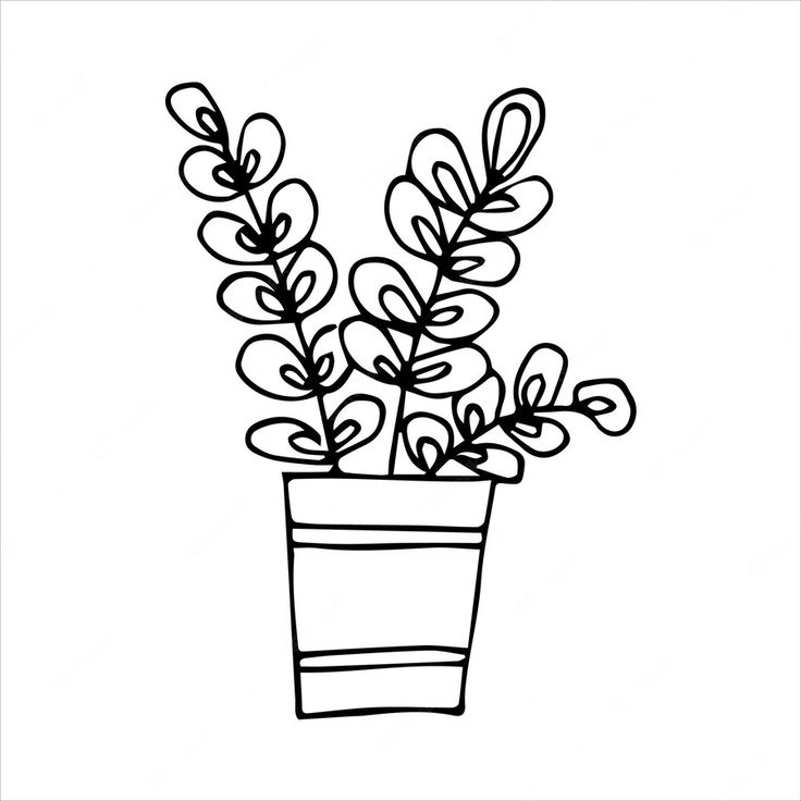 a potted plant with leaves in it on a white background coloring pages for kids