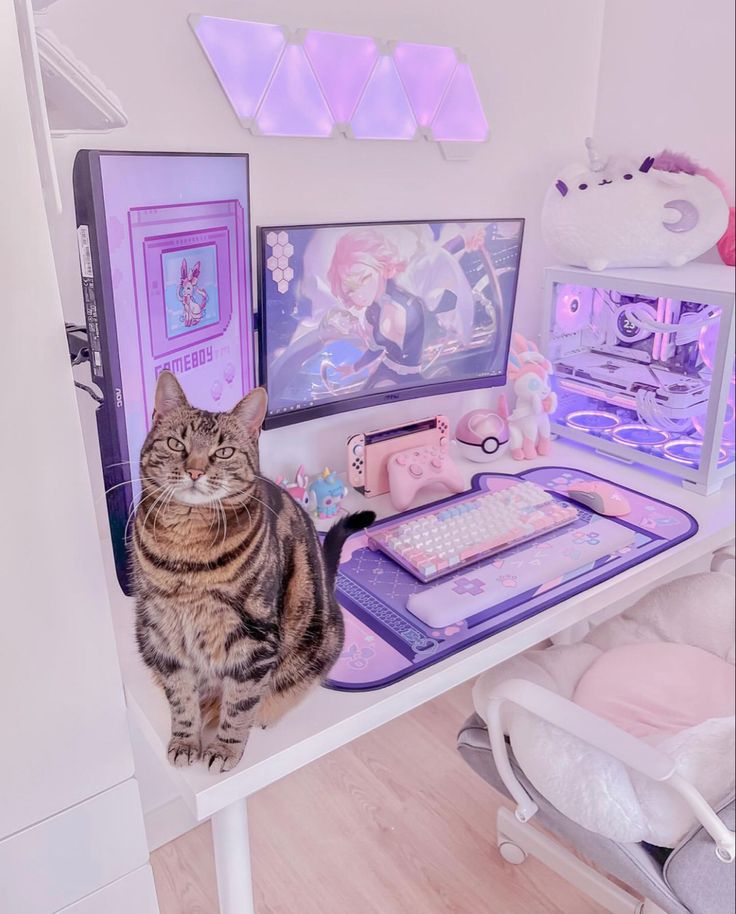 a cat sitting on top of a desk next to a computer