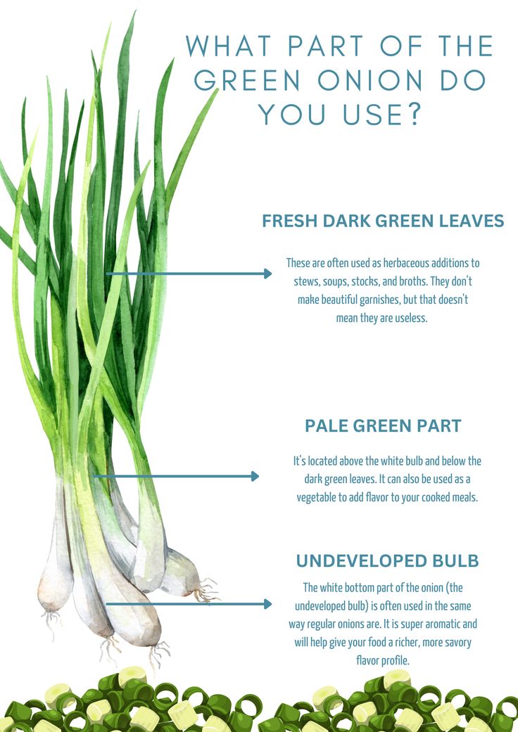 what part of the green onion do you use? info poster with description on it