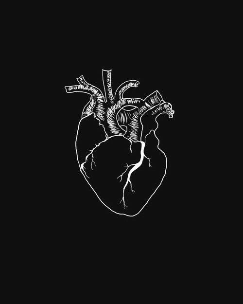 a black and white drawing of a human heart