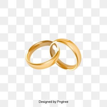 two gold wedding rings on a white background