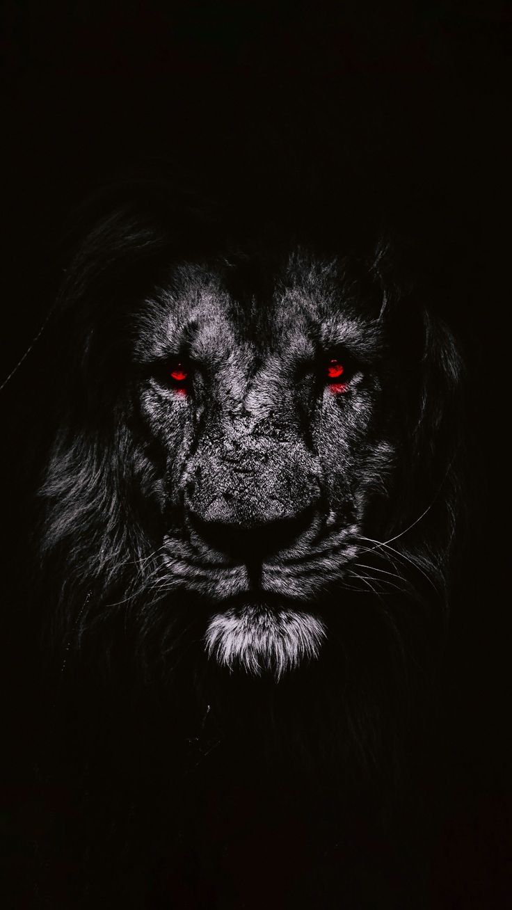 a black lion with red eyes in the dark