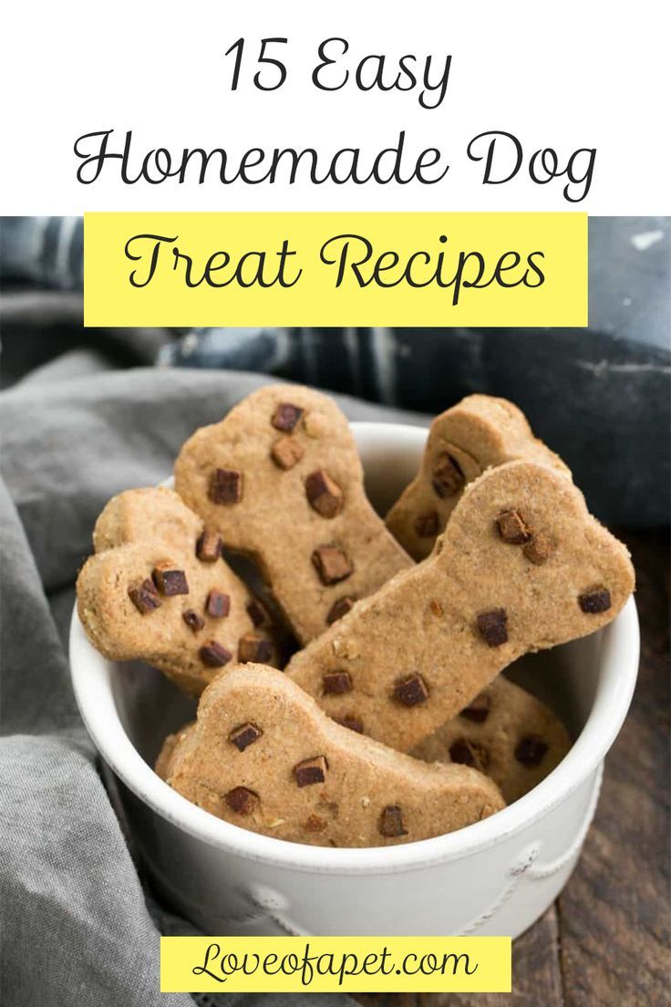 15 Easy Homemade Dog Treat Recipes Homemade Peanut Butter Dog Treats Recipe, Making Dog Treats, Dog Treats Homemade Peanut Butter, Homemade Peanut Butter Dog Treats, Homemade Dog Treat Recipes, Dog Treats Homemade Easy, Easy Dog Treat Recipes, Dog Biscuit Recipes, Easy Dog Treats