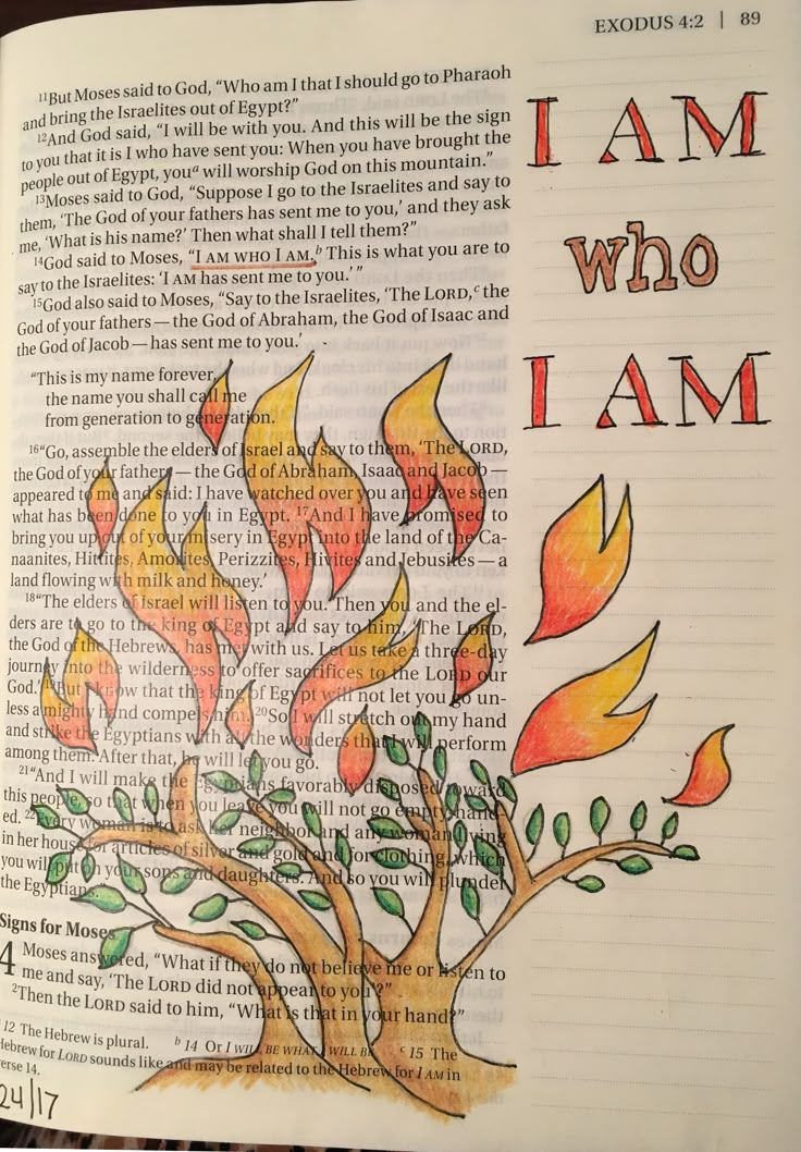 an open bible with the words i am who i am written on it and a fire tree