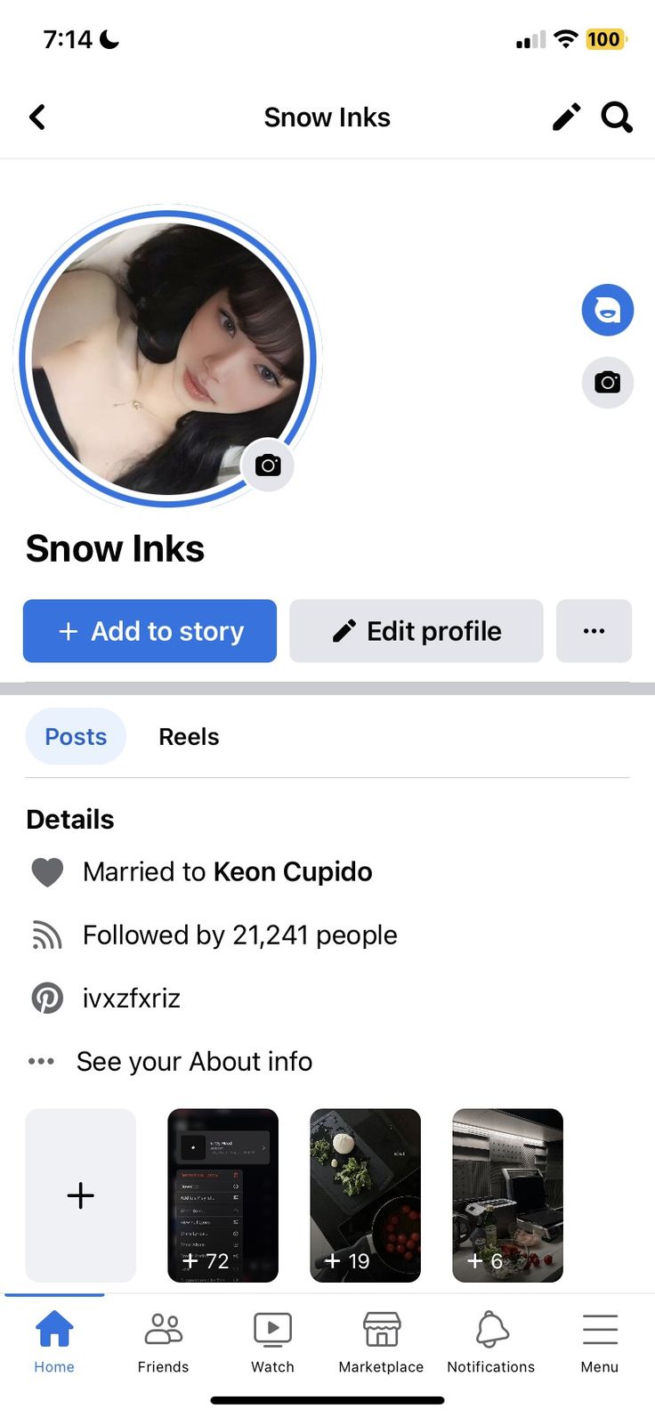 the facebook profile for snow inks