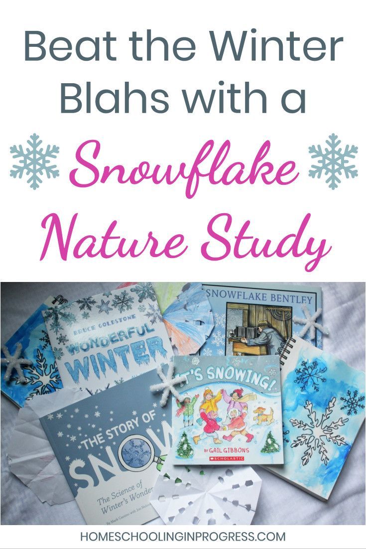 snowflake nature study with text overlay that reads beat the winter blanks with a snowflake nature study