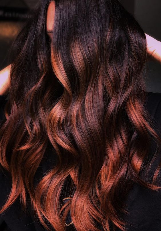 Balayage Hair Copper, Rambut Brunette, Hair Pics, Inspo Hair, Hair Color Auburn, Red Highlights, Brown Hair Balayage, Fall 24, Wild Hair