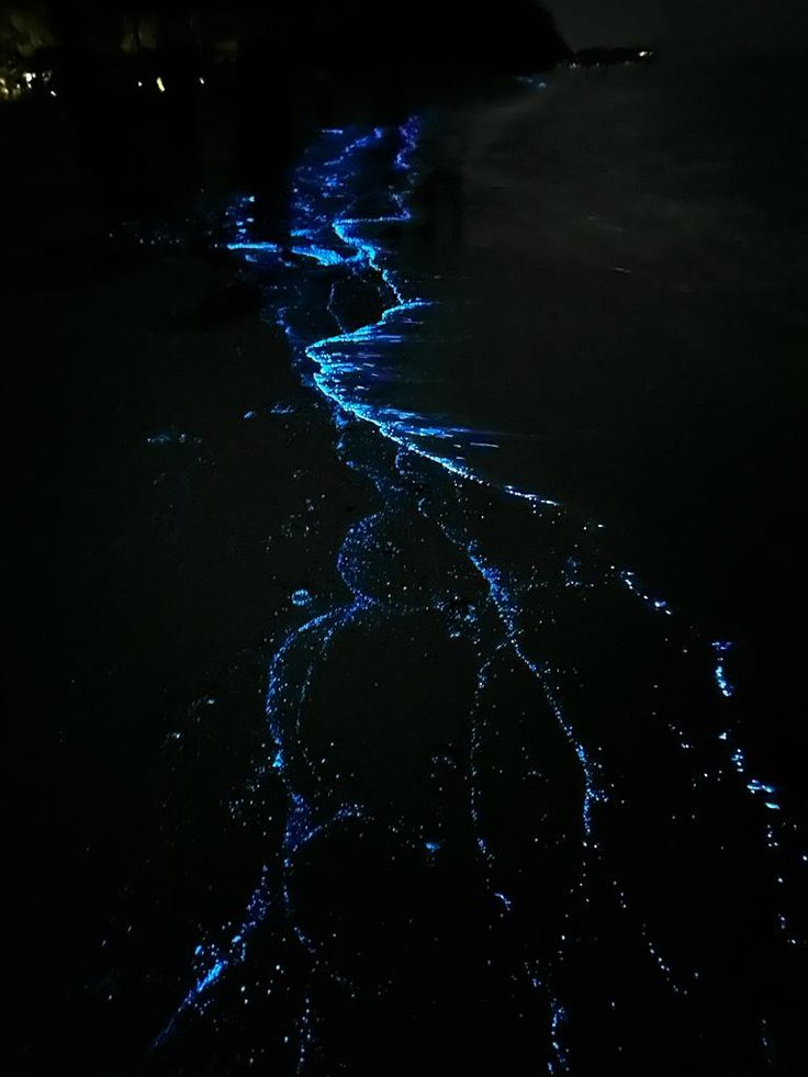 the water is glowing blue at night and it looks like they are floating in the ocean