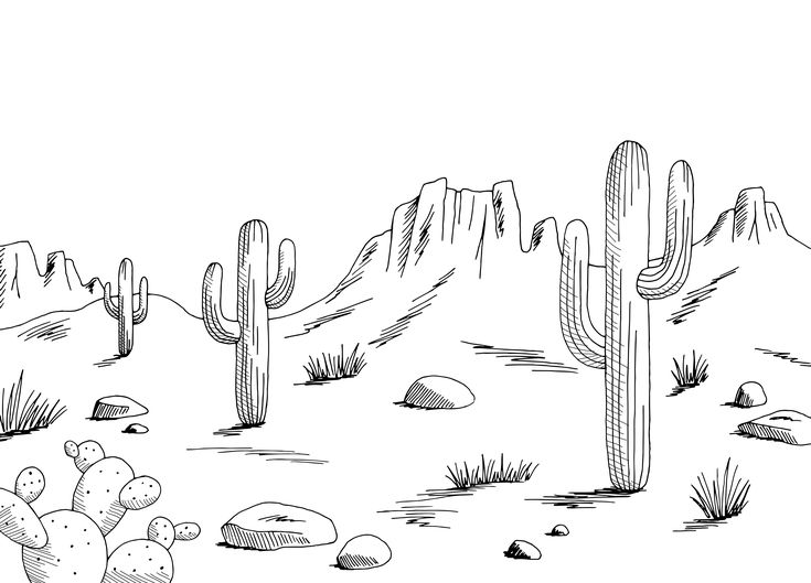 a black and white drawing of cactus plants in the desert with rocks on the ground