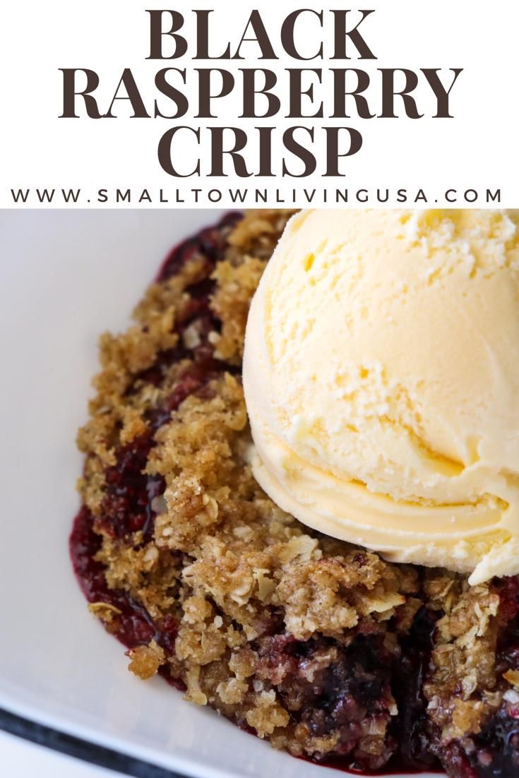 black raspberry crisp on a white plate with vanilla ice cream in the middle