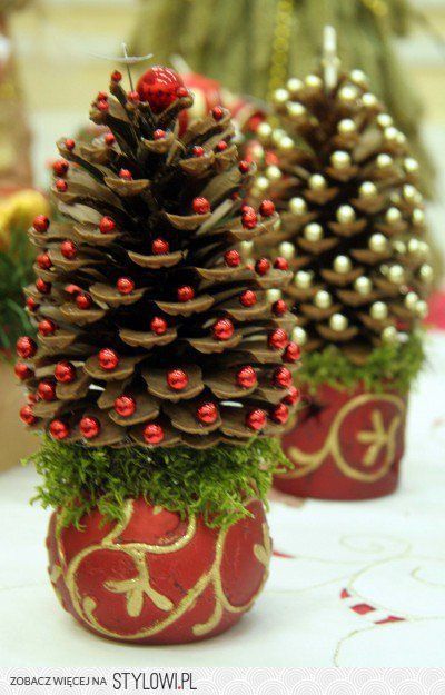 two small pine cones are sitting in red vases with gold trimmings on them