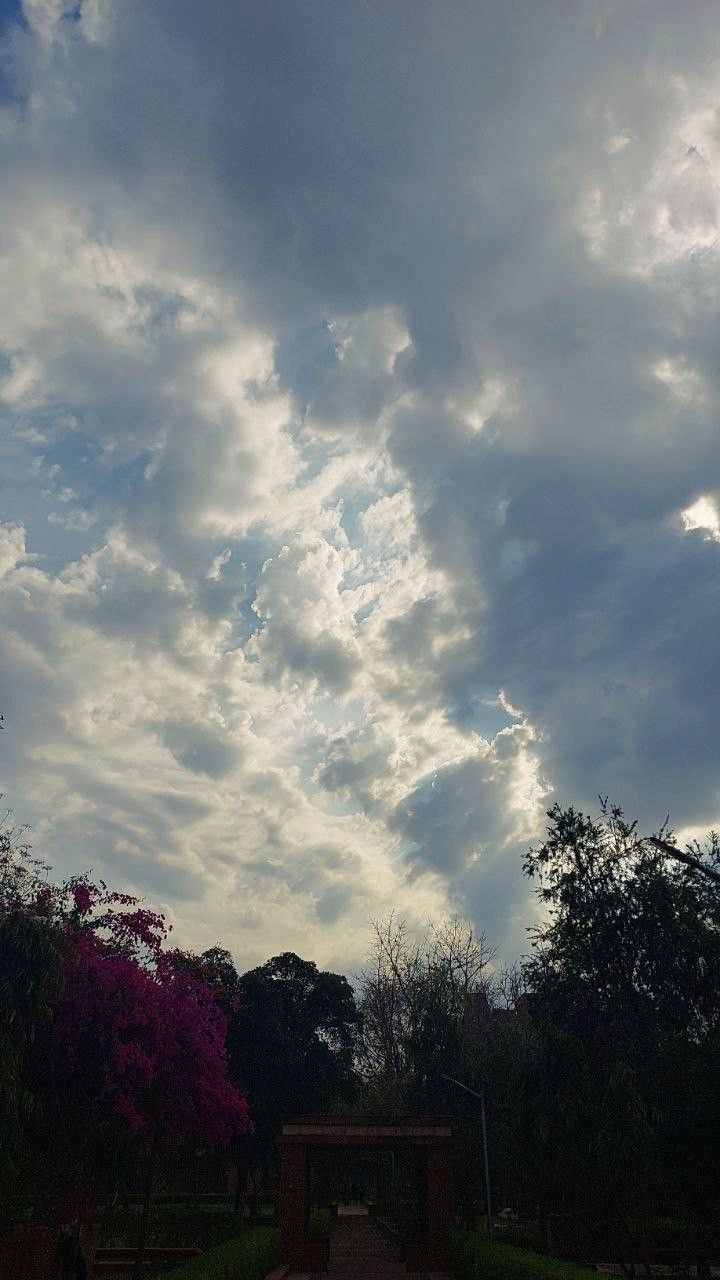 the sky is filled with clouds and some benches are in the foreground, while pink azalea bushes stand on either side