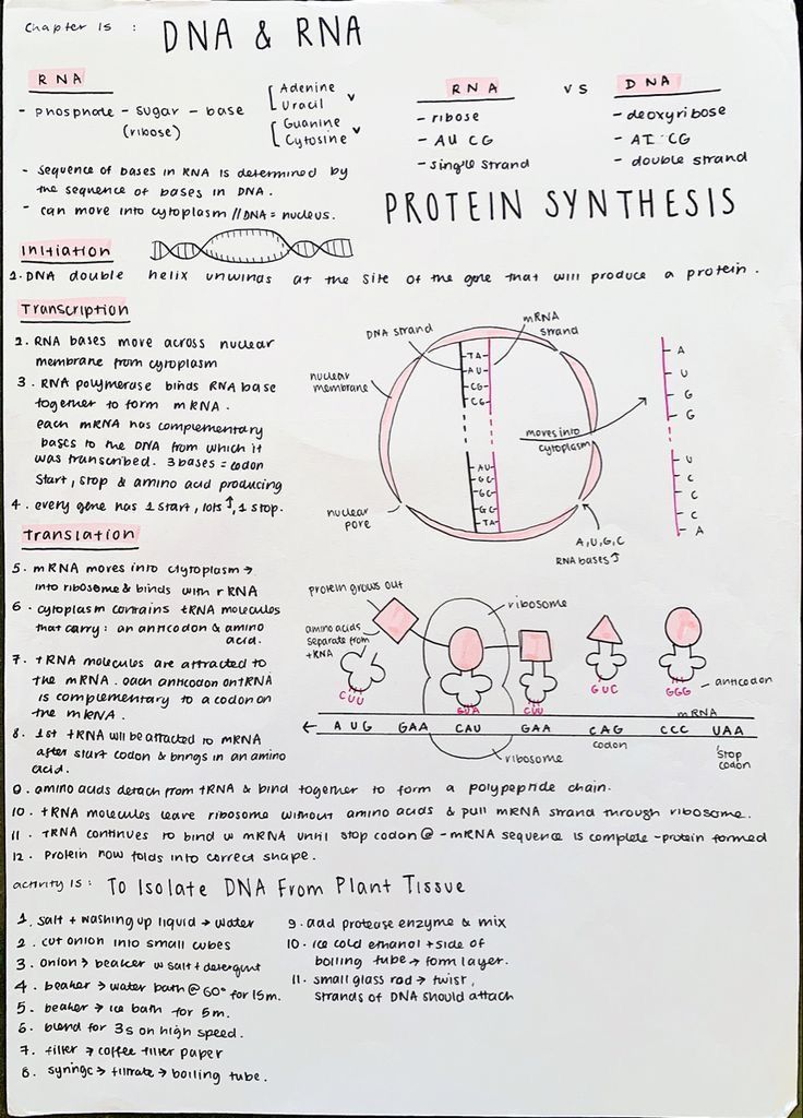 a piece of paper with diagrams on it