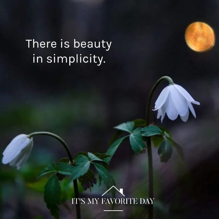 there is beauty in simplity it's my favorite day