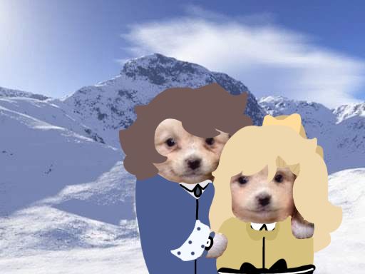 two dogs are dressed in clothes and standing next to each other on snow covered ground