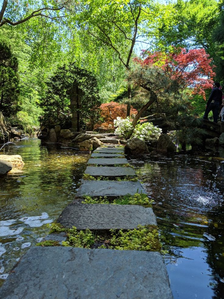 stepping stones lead into the water in a garden with trees and rocks on either side