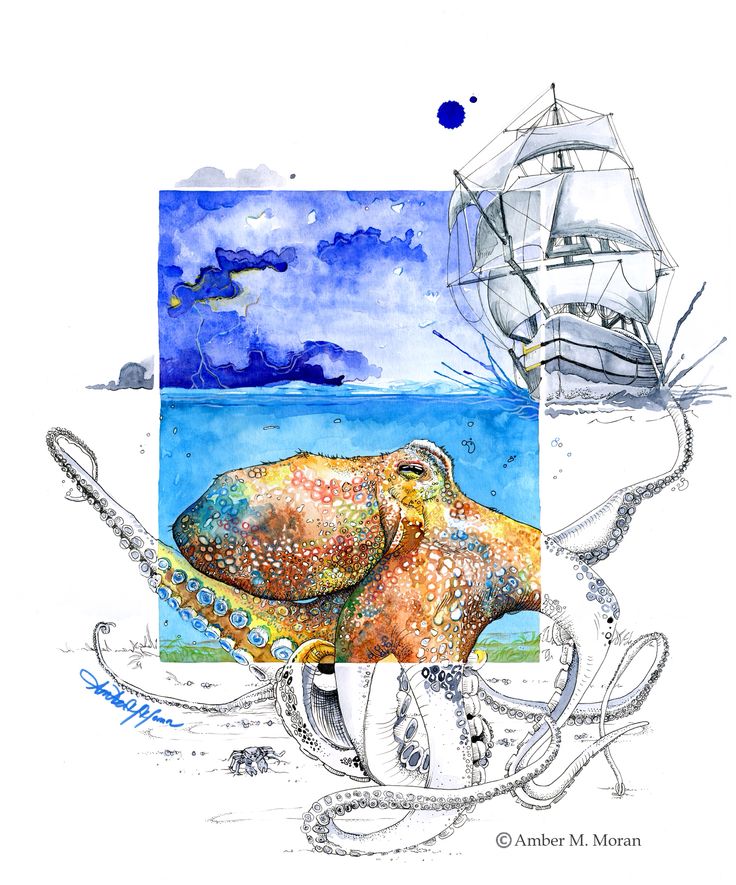 an octopus with a ship in the background and watercolors on paper above it