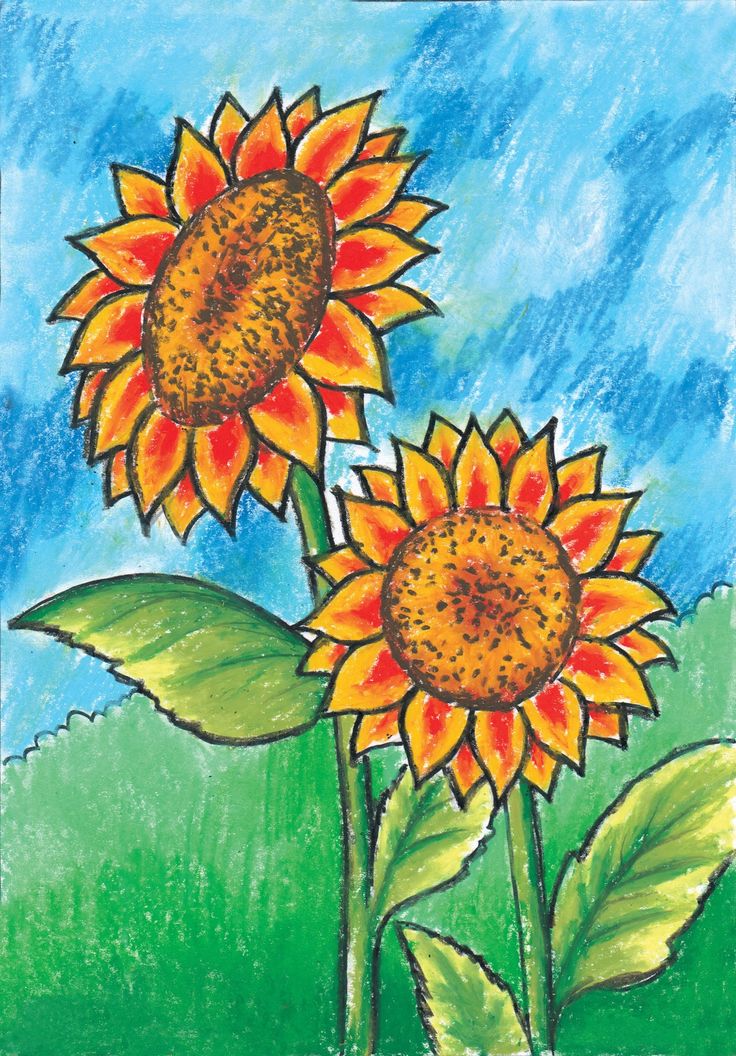 two sunflowers are shown in this drawing