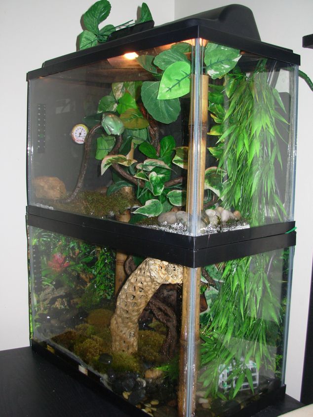 an aquarium with plants and rocks in it