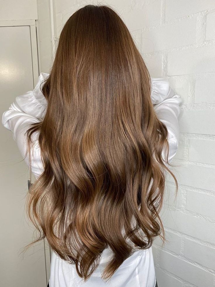 Hazelnut Hair Color, Hazelnut Hair, Hairstyle Hacks, Warm Brown Hair, Side Braids, Brown Wavy Hair, Rambut Brunette, Golden Brown Hair, Honey Brown Hair