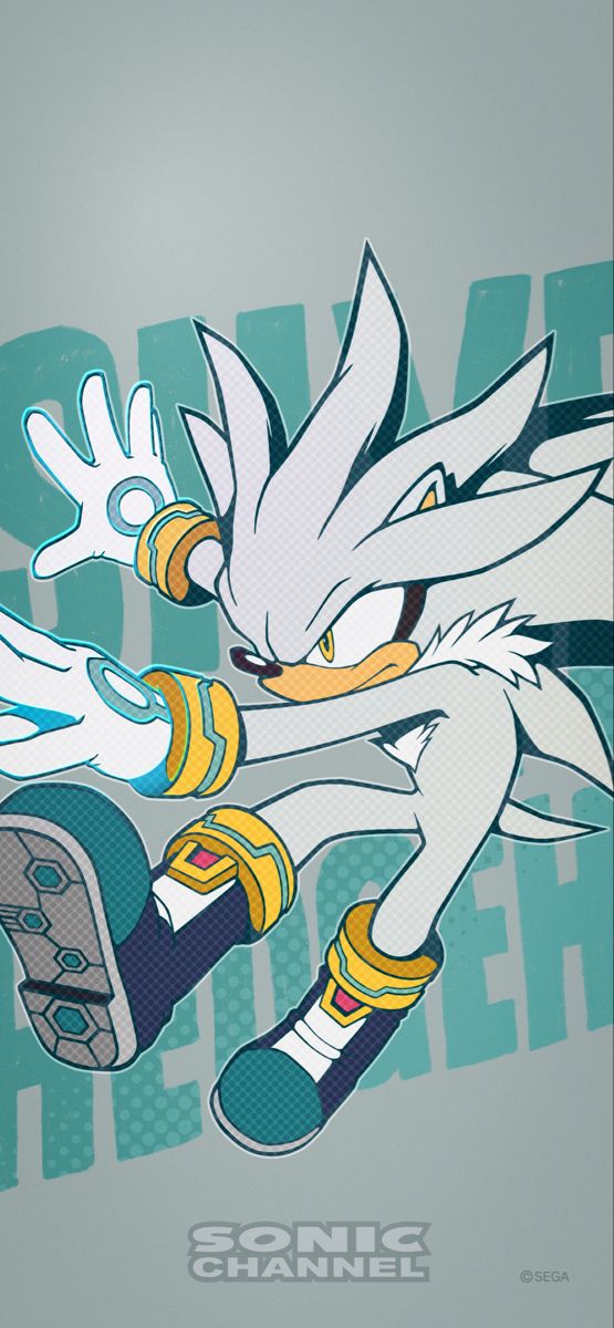 an image of a sonic the hedge character on a skateboard with words above it