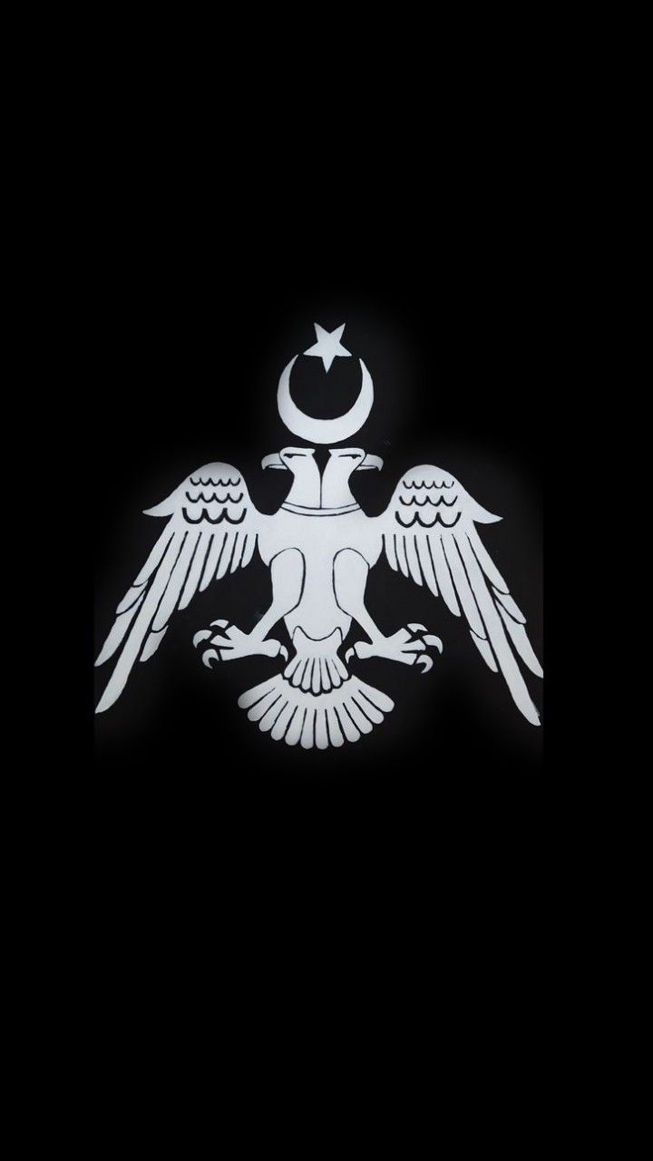 an emblem on the side of a black wall with two white birds and a crescent