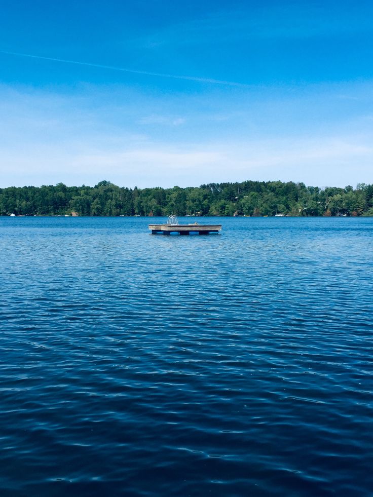 a boat floating on top of a large body of water next to a lush green forest