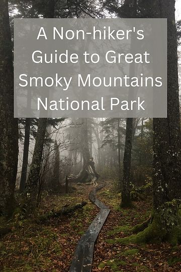 Misty forest with wooden path winding through the trees with the words A Non-hiker's Guide to the Great Smoky Mountains National Park Tennessee Family Vacation, Travel Tennessee, Asheville Hikes, Gatlinburg Tennessee Vacation, Mountains Tennessee, Smokey Mountains Vacation, Smoky Mountains Tennessee, Mountains Vacation, Gatlinburg Vacation