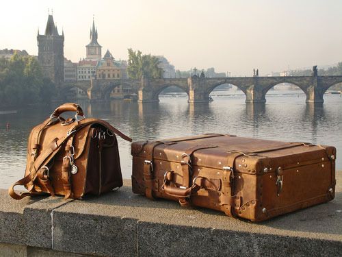 two pieces of luggage sitting on the side of a river