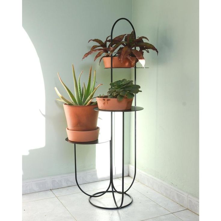 three potted plants sitting on top of a metal stand