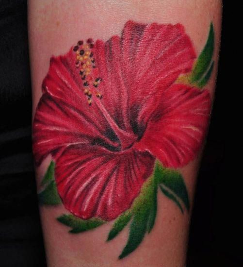 a red flower with green leaves on it's arm and the inside of its petals