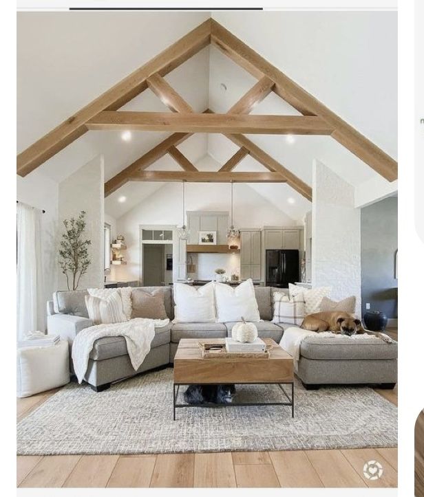 a living room filled with furniture and a dog laying on top of the couches