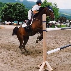 a person riding on the back of a brown horse over an obstacle in a dirt field