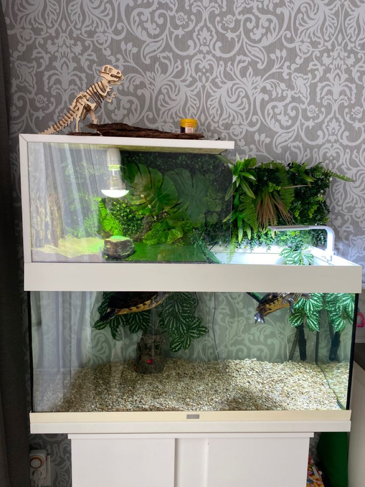 an aquarium with plants and animals in it sitting on top of a white cabinet next to a wallpapered wall