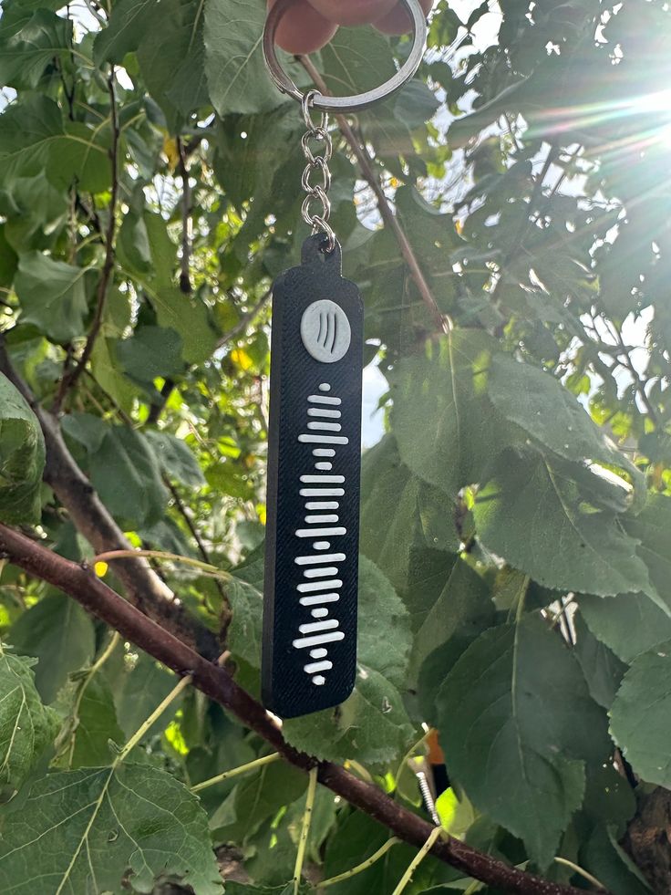 a key chain hanging from a tree branch