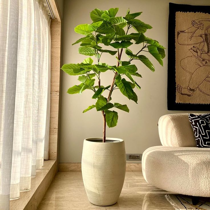 a potted plant sitting on top of a table next to a white chair in a living room