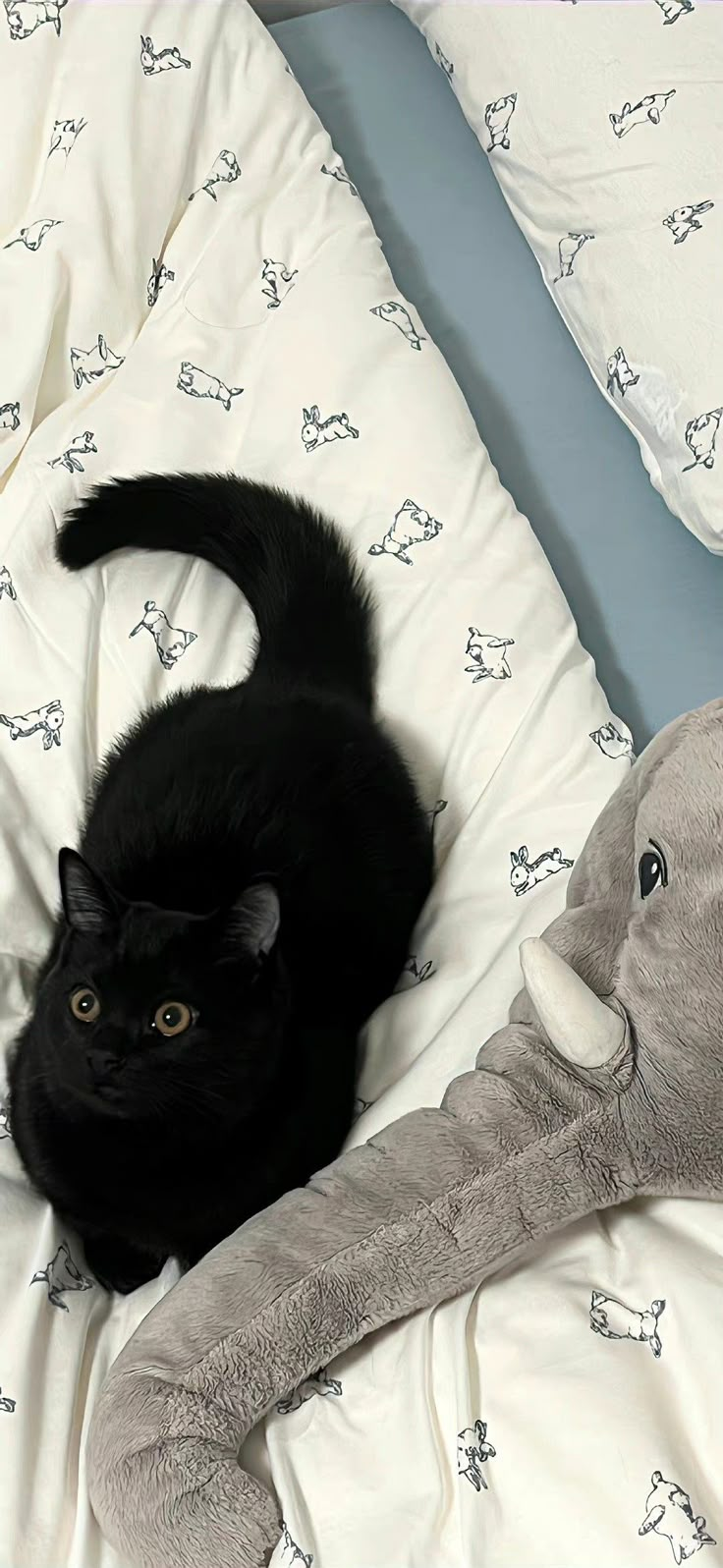 a black cat laying on top of a bed next to a stuffed animal elephant toy