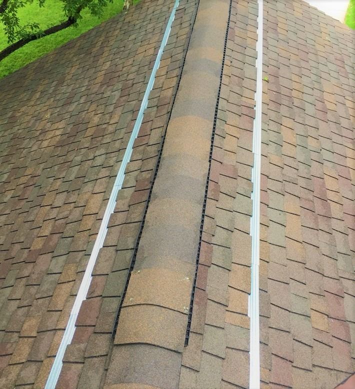 a cat sitting on top of a roof next to a tree