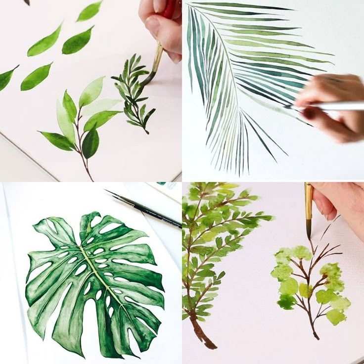 the process of painting leaves with watercolors is shown in four different stages, including green and white