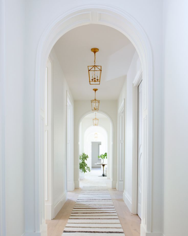 an archway leading to a hallway with a rug on the floor and potted plant