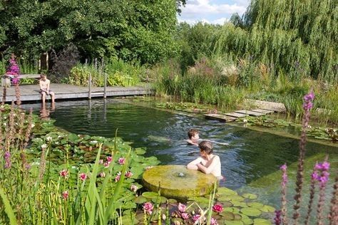 two people in a pond with lily pads and water lillies, surrounded by greenery