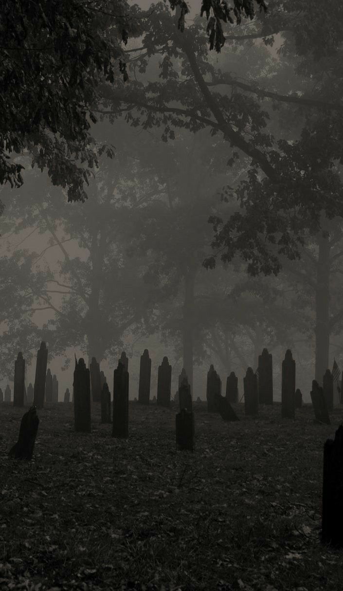 an old cemetery with many headstones in the fog