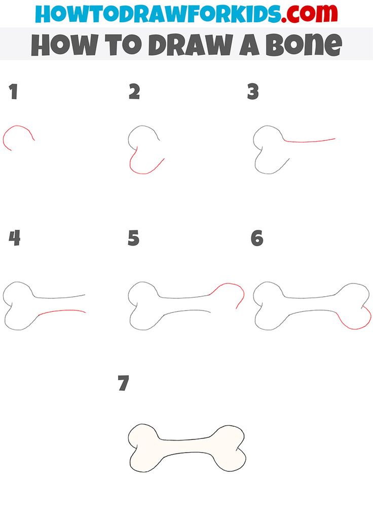 how to draw a dog bone for kids and beginners with step by step instructions