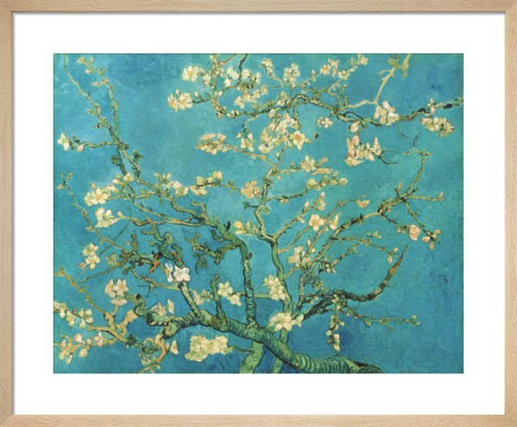 the branches of an almond tree in blossom against a blue sky by van goght