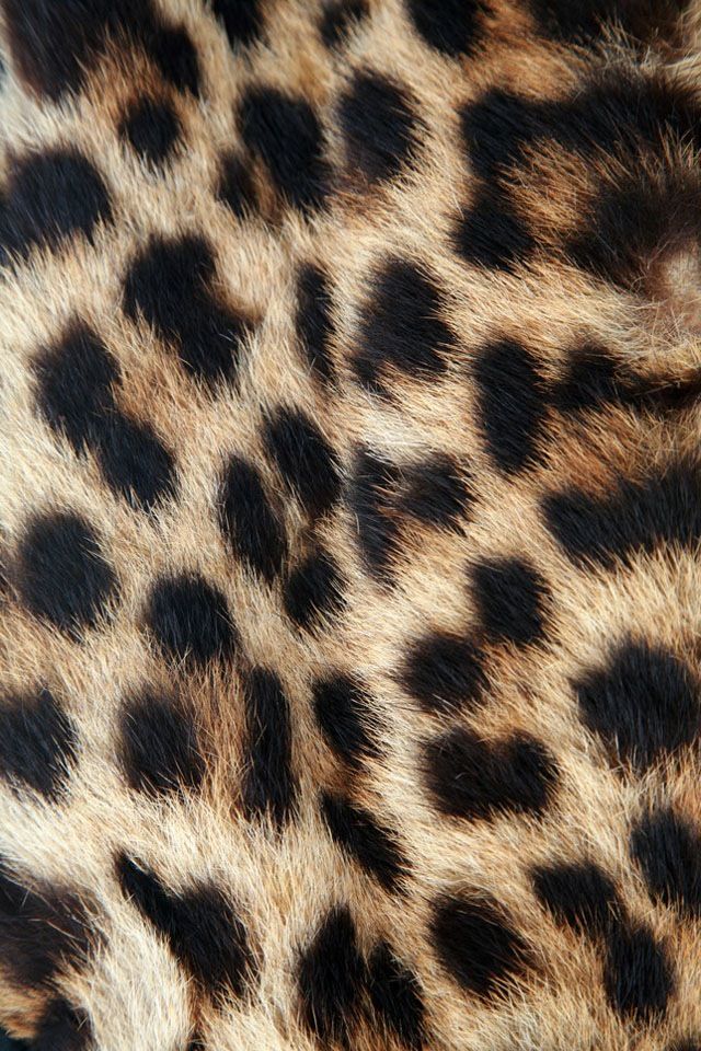 an animal print with a green tag on it