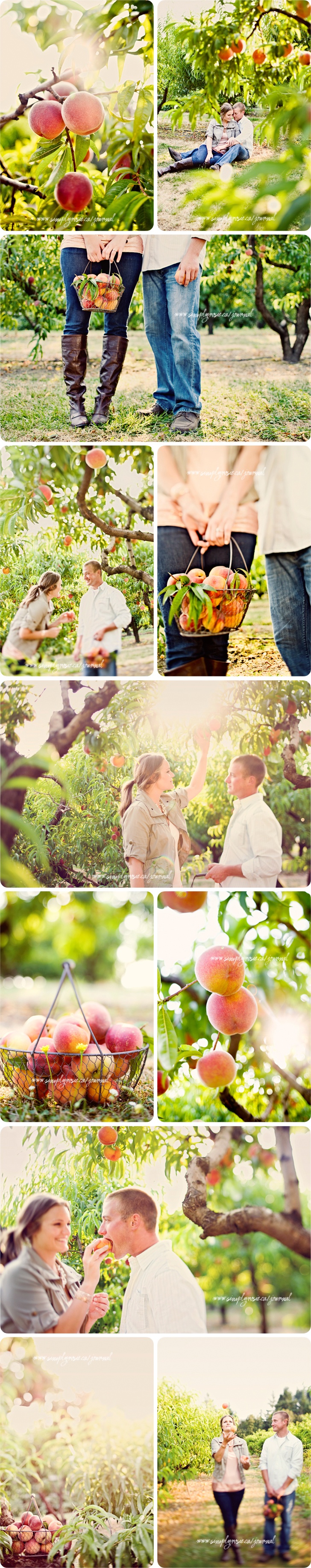 several different pictures of people in the woods with trees and grass, one is holding an umbrella