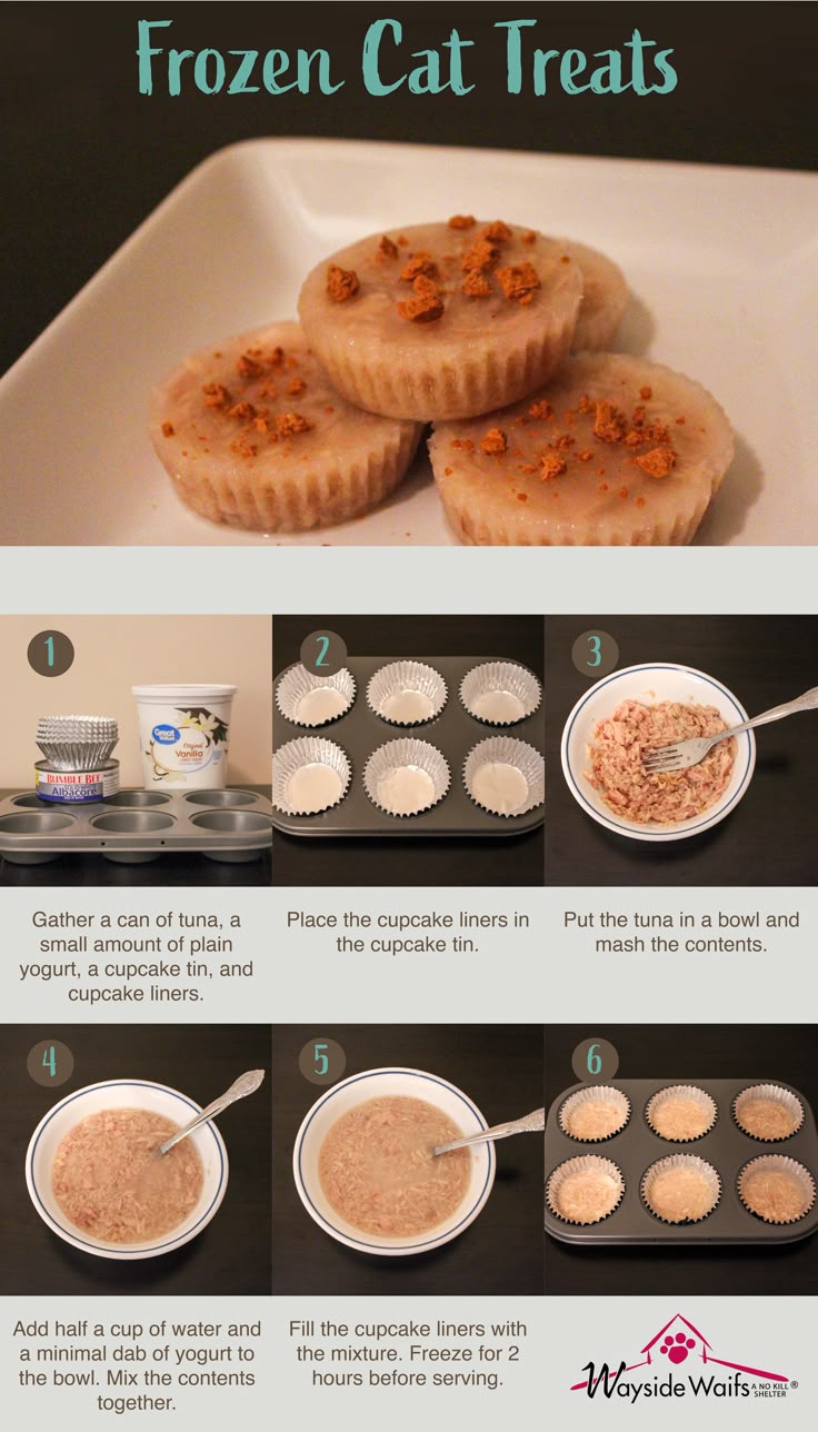 instructions for making frozen cat treats in muffin tins